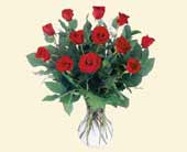 A Dozen Red Roses, picture